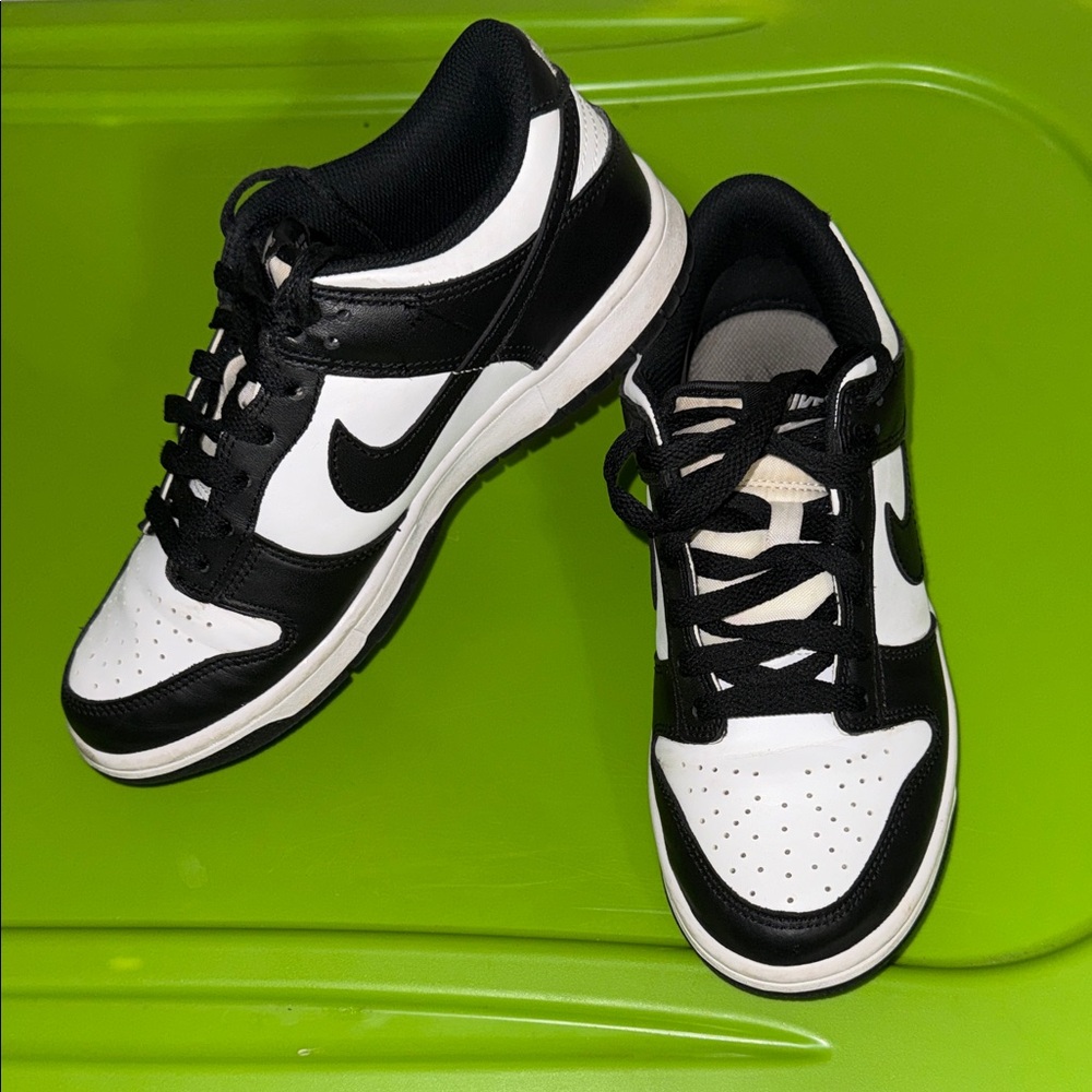 Nike Dunk Classic Black and White Shoes